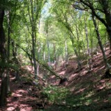 1808F 147 Regental Radweg